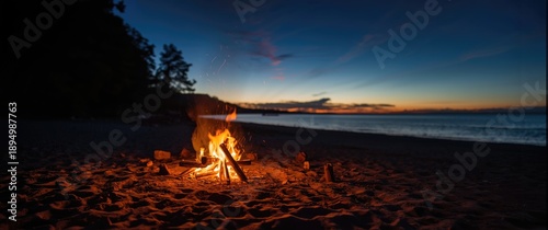 Campfire on the beach in su...