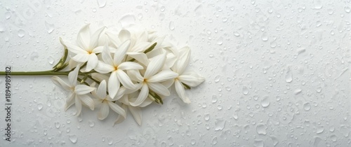 Jasmine flower group featur...