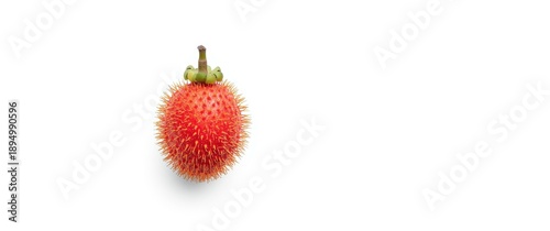 White Background Featuring ...