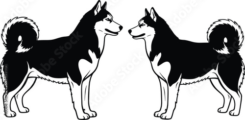 Siberian husky dog silhouettes facing each other, symmetrical animal illustration, pet breed design, black white vector art, minimal line style