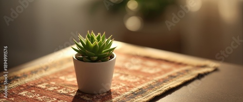 Detailed close-up and bokeh...