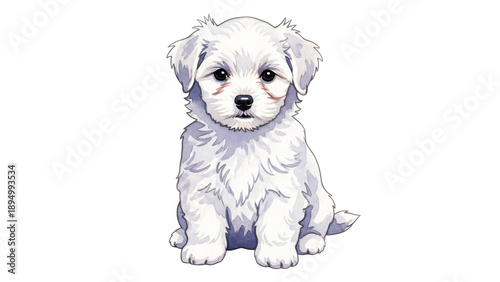 Small white dog sitting down on black background with the words love.