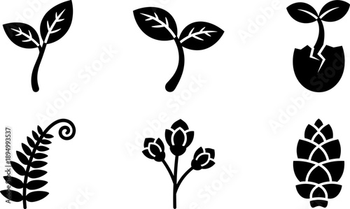Collection of six black plant growth icons on a white background