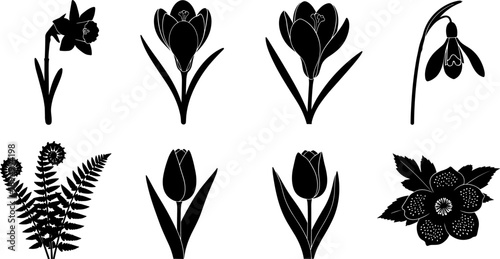 Collection of black and white floral silhouettes including daffodils, tulips, crocuses, and ferns