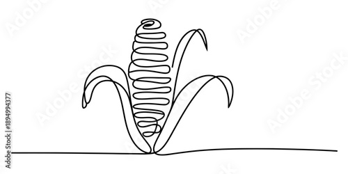 Continuous line drawing of a corn cob with husks on a white background