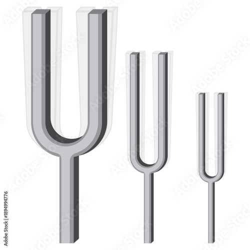 tuning fork, vibratory sensation and hearing.