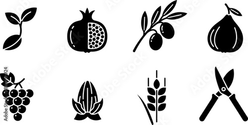 Tu Bishvat fruit and nature symbols icon set