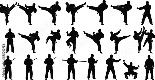 Professional karate and martial arts silhouettes featuring fighters in various kicking, striking, and training poses for sports competition and fitness vector design elements.