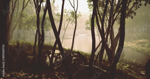 Fotografía misty forest shore at dawn sunlight filtering through tall trunks, soft fog hove