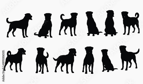 Silhouetted Companions: A captivating composition presents a collection of canine silhouettes, showcasing the grace and versatility of our faithful companions