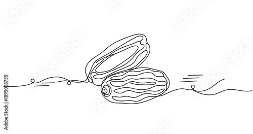 Two continuous line art cucumbers with abstract elements on white background. Non editable stroke