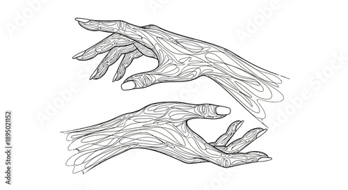 Detailed sketch of two human hands with fingers outstretched.