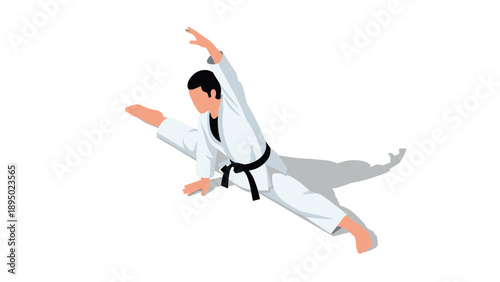 Dynamic martial arts pose in karate attire with isometric style and shadow