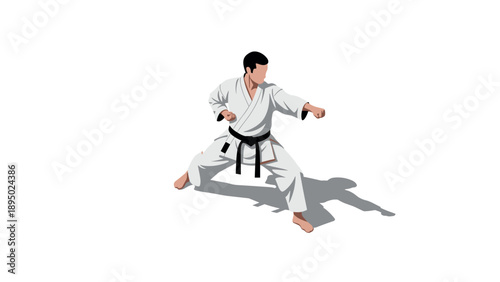 Dynamic karate practitioner in ready pose with shadow on white background