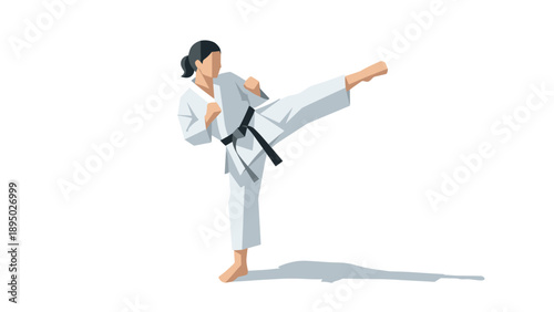 Karate practitioner performing high kick in minimalist style