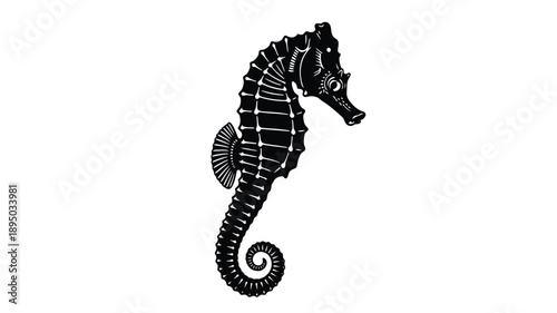 a detailed black seahorse illustration against a stark white background silhouette