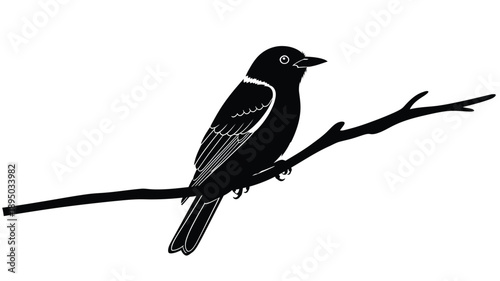 a black bird perched on a branch illustration simple and elegant silhouette
