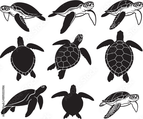 Minimalist Black and White Sea Turtle Vector Set for Eco Design and Wildlife Projects