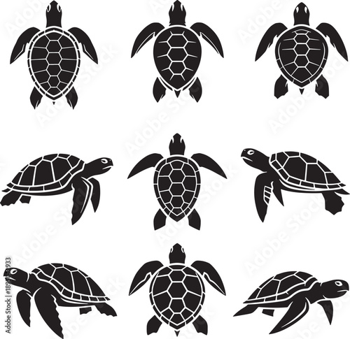 Set of 9 Black and White Sea Turtle Vector Illustrations Minimalist Line Art