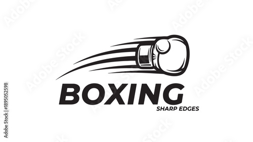 A dynamic black and white logo features a boxing glove with speed lines and the word boxing high quality professional detailed