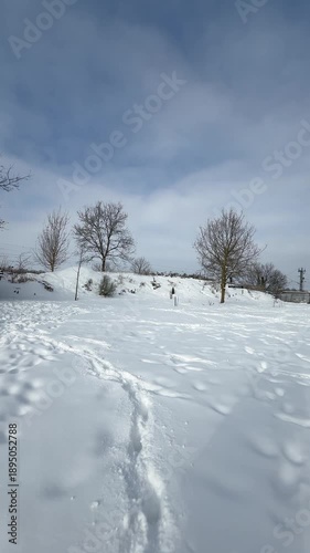 Wallpaper Mural Winterliche Baumlandschaft unter klarem Himmel,Verschneite Bäume in einer ruhigen Winterlandschaft unter hellem Himmel. Sanfte Farben und klare Strukturen erzeugen eine friedliche Atmosphäre. Torontodigital.ca