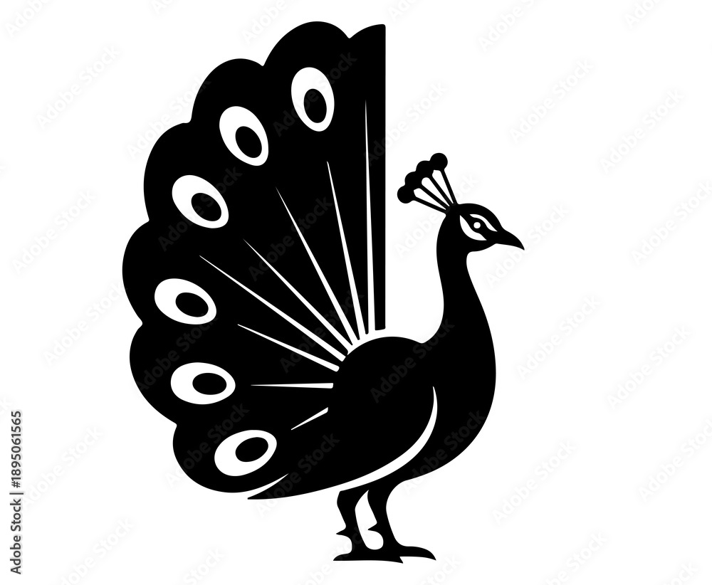 Fototapeta premium A black silhouette of a peacock with its vibrant tail feathers spread