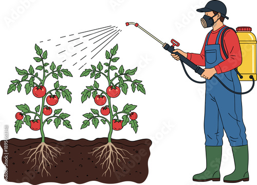 Farmer in protective gear and respirator spraying pesticide on tomato plants, professional crop protection and agricultural chemical application vector illustration.
