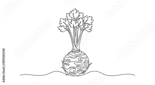 Whole celeriac root vegetable with fresh green leaves shown in expressive continuous line art style on white background.