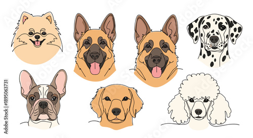 Diverse collection of stylized dog breed heads including a german shepherd dalmatian and pomeranian in a colorful line art style for pet.