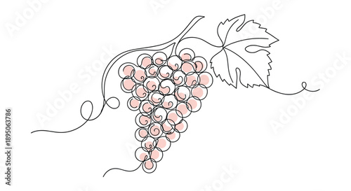 Artistic continuous line drawing of a cluster of grapes with a single leaf and soft pink color accents on a white base for fruit themes.