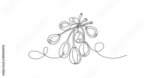 Elegant single continuous line drawing of a bunch of grapes with swirling vines in a minimalist black and white style.