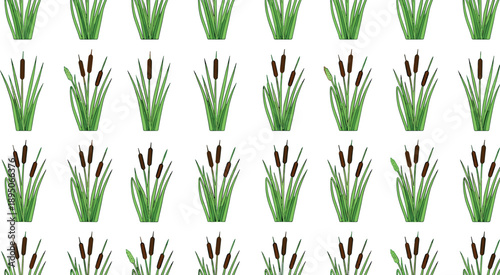 Seamless green cattail plant pattern with brown bullrushes, marsh grass vegetation illustration for nature backgrounds and wetland ecosystem designs.