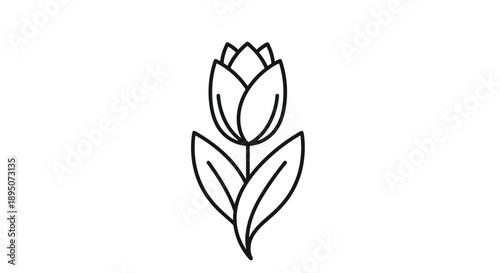 Minimalist line art illustration shows a single tulip flower with its leaves in a simple black and white vector style design.