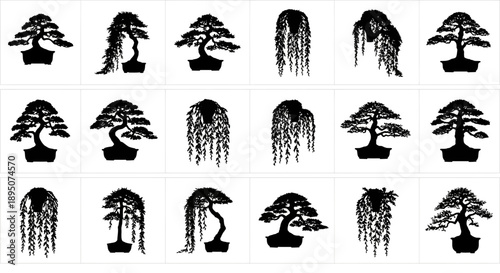 Black Silhouette Bonsai and Weeping Willow Tree Vector Set