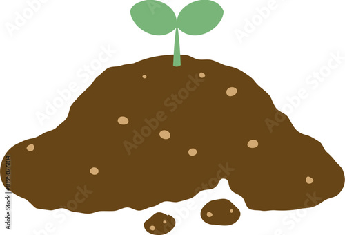 새싹 묘목 파종