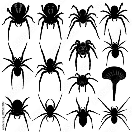 Black Spider Silhouettes Vector Set for Halloween and Nature Designs