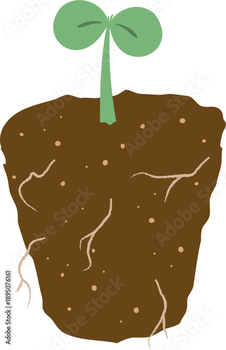 새싹 묘목 파종