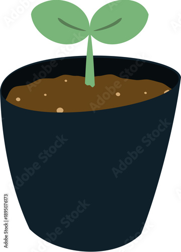 새싹 묘목 파종