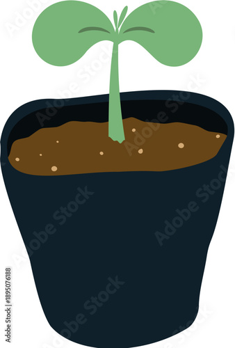 새싹 묘목 파종