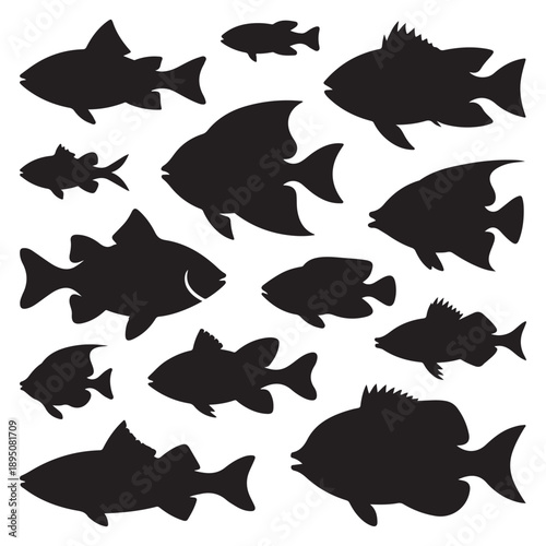 Set of  fish vector silhouette