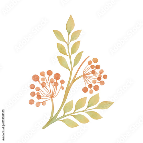 set of floral elements