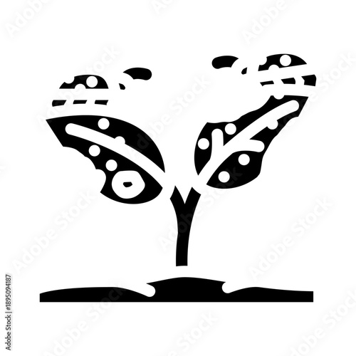 Plant seedling growing from the ground, showing clear signs of disease with damaged leaves and blight, representing agricultural challenges and crop infection