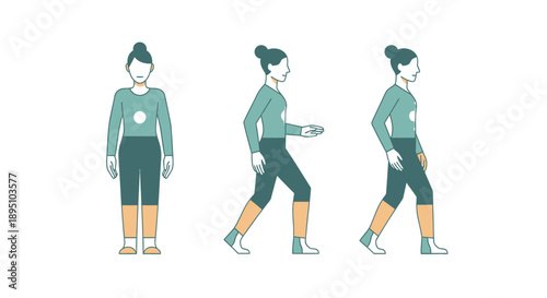 Vector illustration of a woman in three walking poses