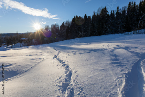 Winter Sun, Snowy Path
