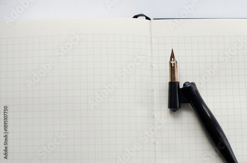 Paper, ink and calligraphy pens. Lettering Workshop details