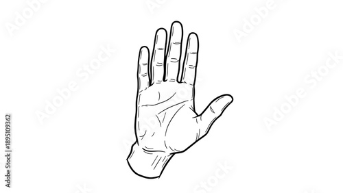 Detailed hand gesture line art illustration of an open palm