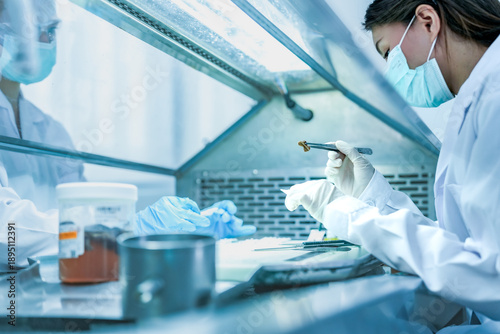 Tableau sur toile pathologist preparing tissue biopsy sample for microscope slide