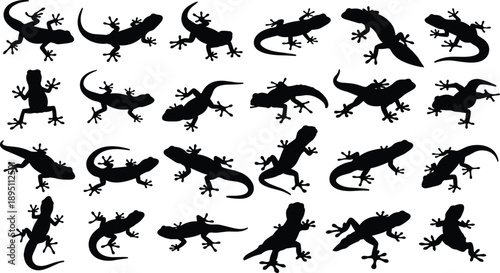 Lizard and gecko silhouettes collection in various poses, black reptile shapes, wildlife animal icons set, crawling amphibians illustration isolated on white background
