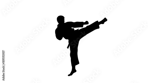 Karate athlete in dynamic high kick silhouette on white background