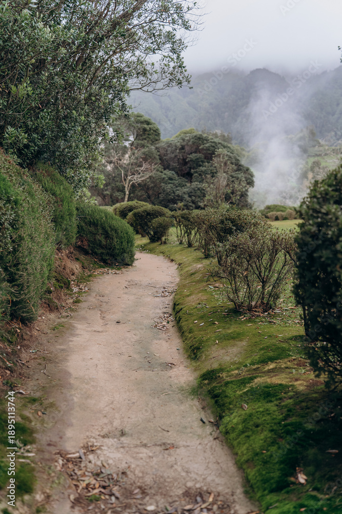 Fototapeta premium A narrow winding path passes through bushes toward rising steam at the Caldeiras de Furnas geothermal area on São Miguel Island in the Azores. The scene shows a natural tourist route surrounded by